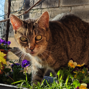 stephie :betterpride_flag: